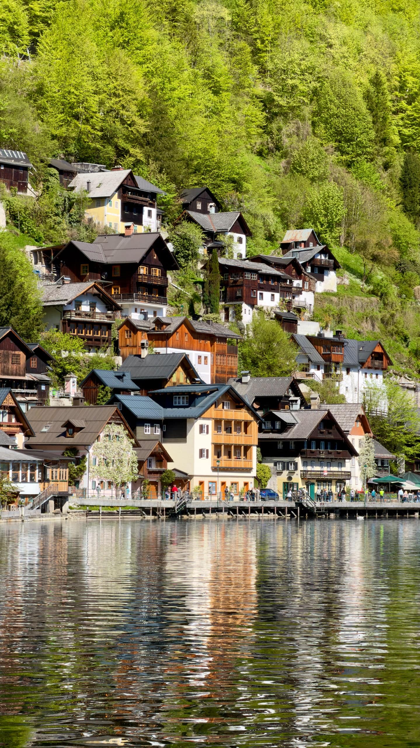 Hallstatt'tan bir kare